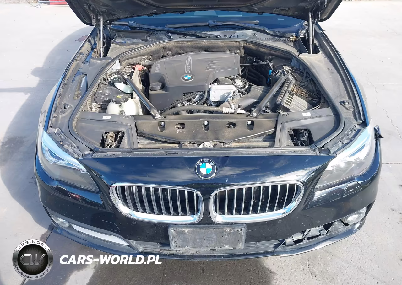 2016 BMW 528I VIN:WBA5A5C59GG352256 - 10