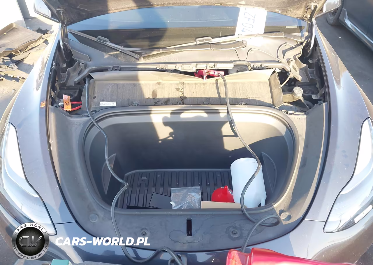 2024 Tesla Model Y Performance Dual Motor All-Wheel Drive VIN:7SAYGDEF0RF062888 - 10