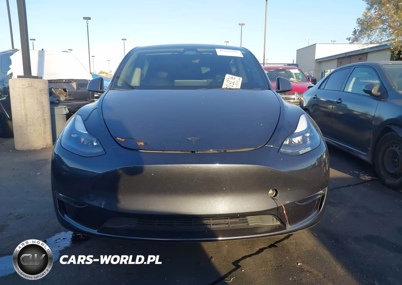 2024 Tesla Model Y Performance Dual Motor All-Wheel Drive VIN:7SAYGDEF0RF062888 - 12