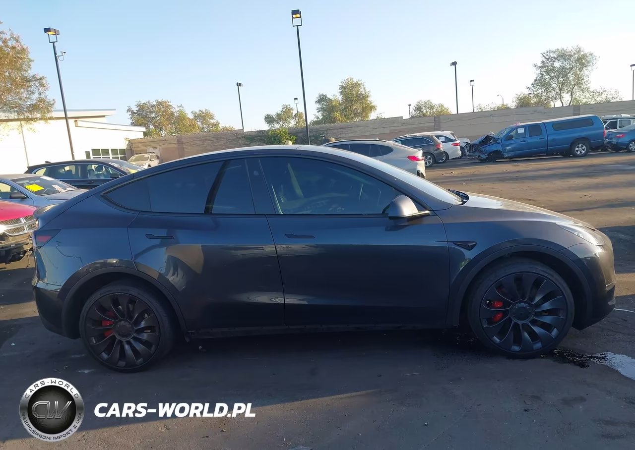 2024 Tesla Model Y Performance Dual Motor All-Wheel Drive VIN:7SAYGDEF0RF062888 - 13
