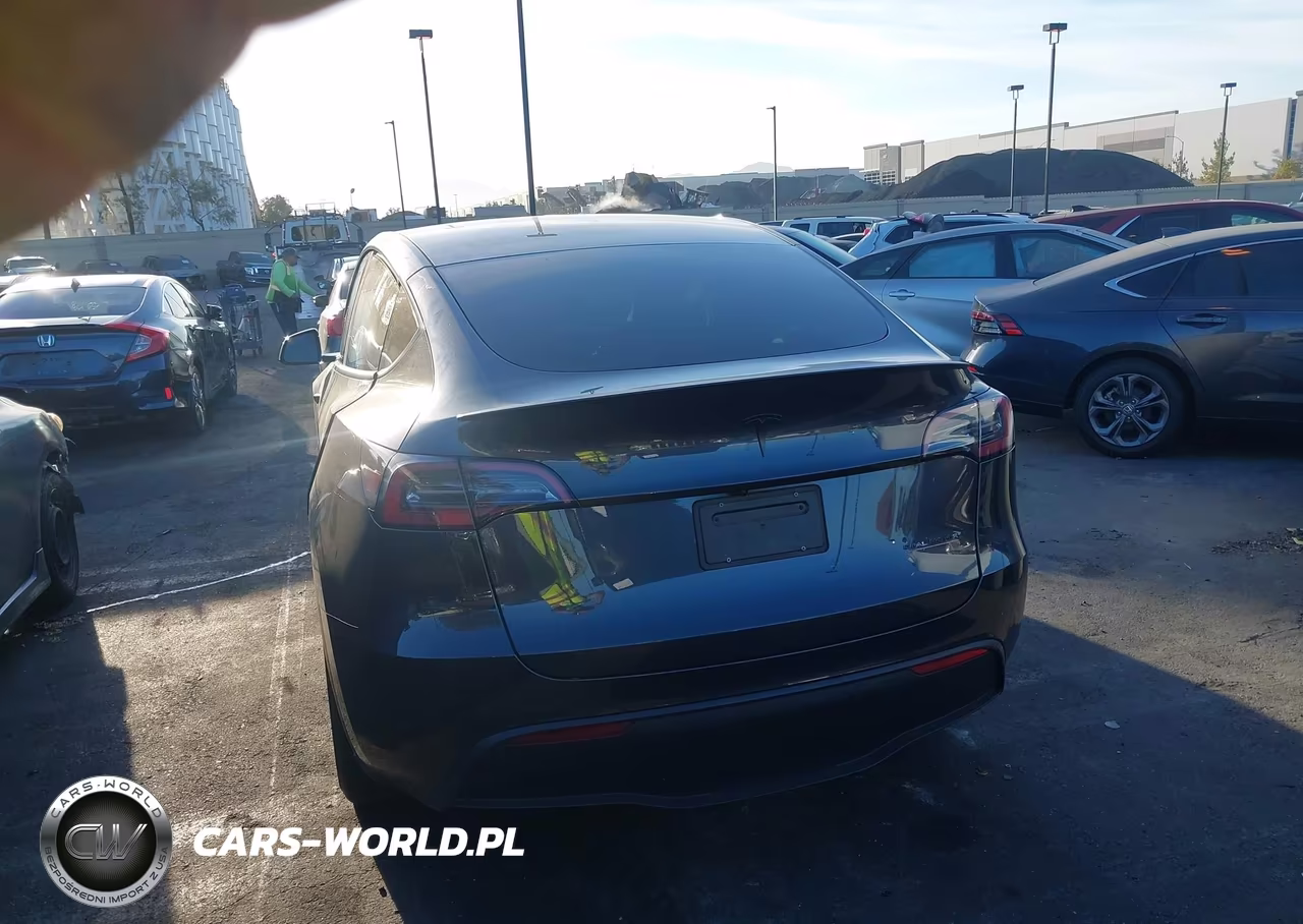 2024 Tesla Model Y Performance Dual Motor All-Wheel Drive VIN:7SAYGDEF0RF062888 - 16