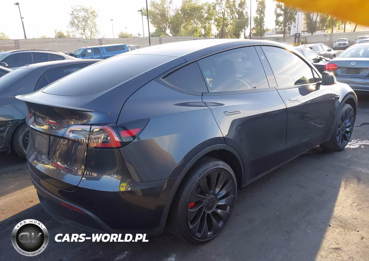 2024 Tesla Model Y Performance Dual Motor All-Wheel Drive VIN:7SAYGDEF0RF062888 - 4