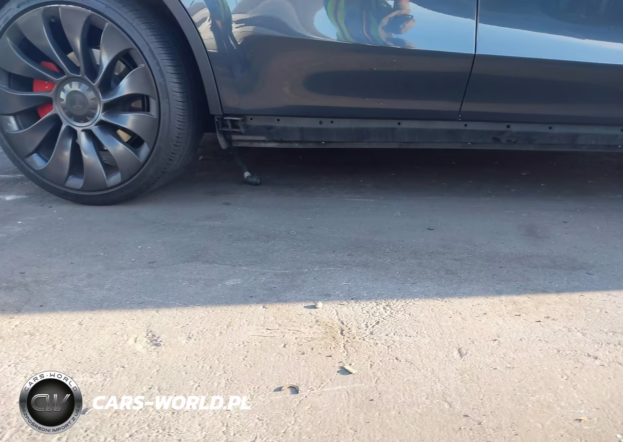 2024 Tesla Model Y Performance Dual Motor All-Wheel Drive VIN:7SAYGDEF0RF062888 - 6