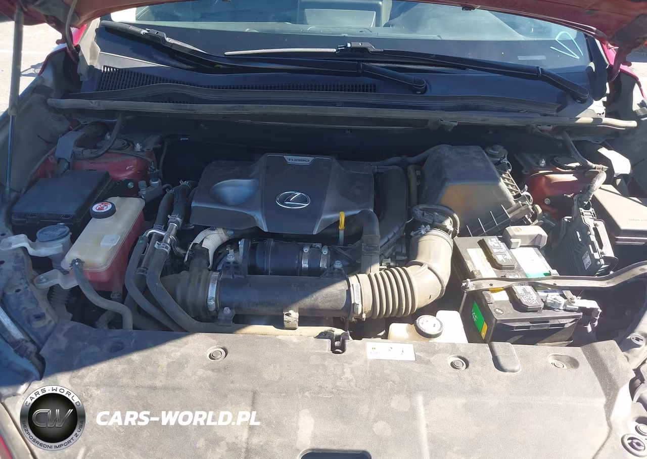 2019 Lexus Nx 300 VIN:JTJYARBZ6K2118137 - 10