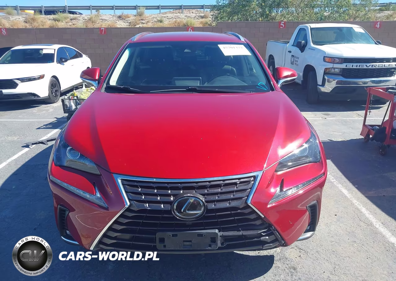 2019 Lexus Nx 300 VIN:JTJYARBZ6K2118137 - 12