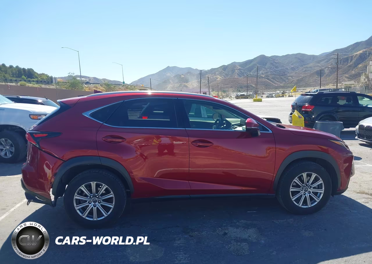 2019 Lexus Nx 300 VIN:JTJYARBZ6K2118137 - 13