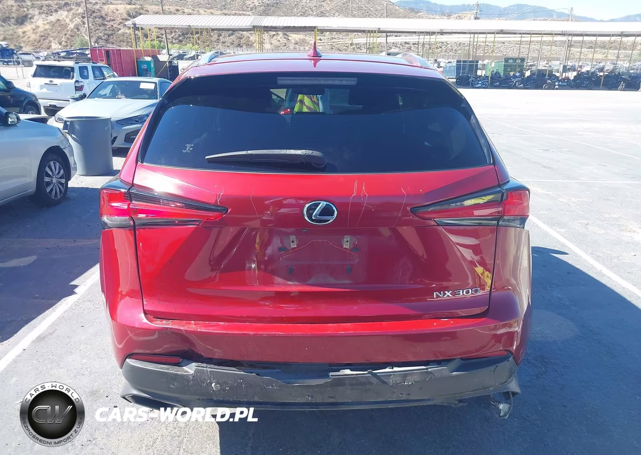 2019 Lexus Nx 300 VIN:JTJYARBZ6K2118137 - 16