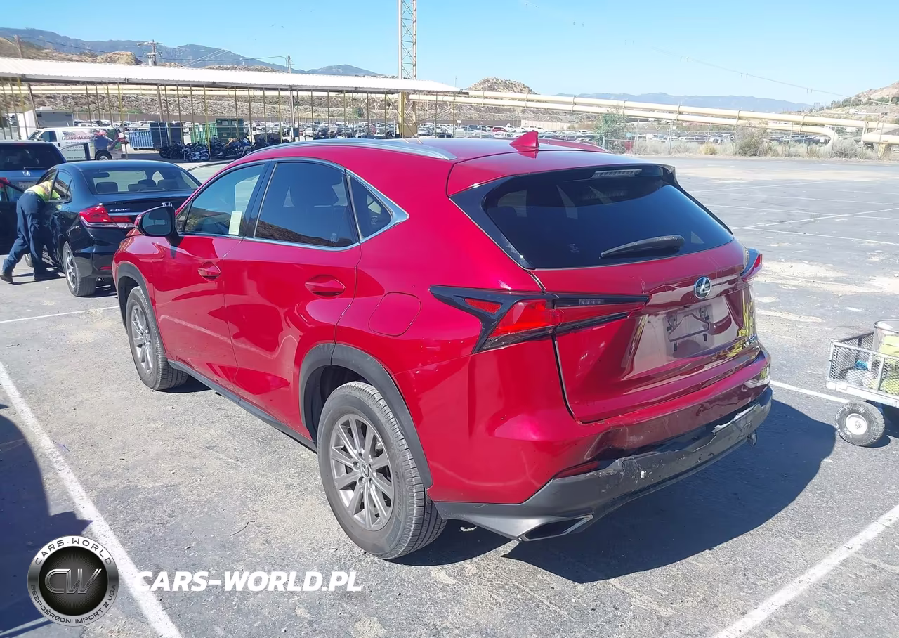 2019 Lexus Nx 300 VIN:JTJYARBZ6K2118137 - 3