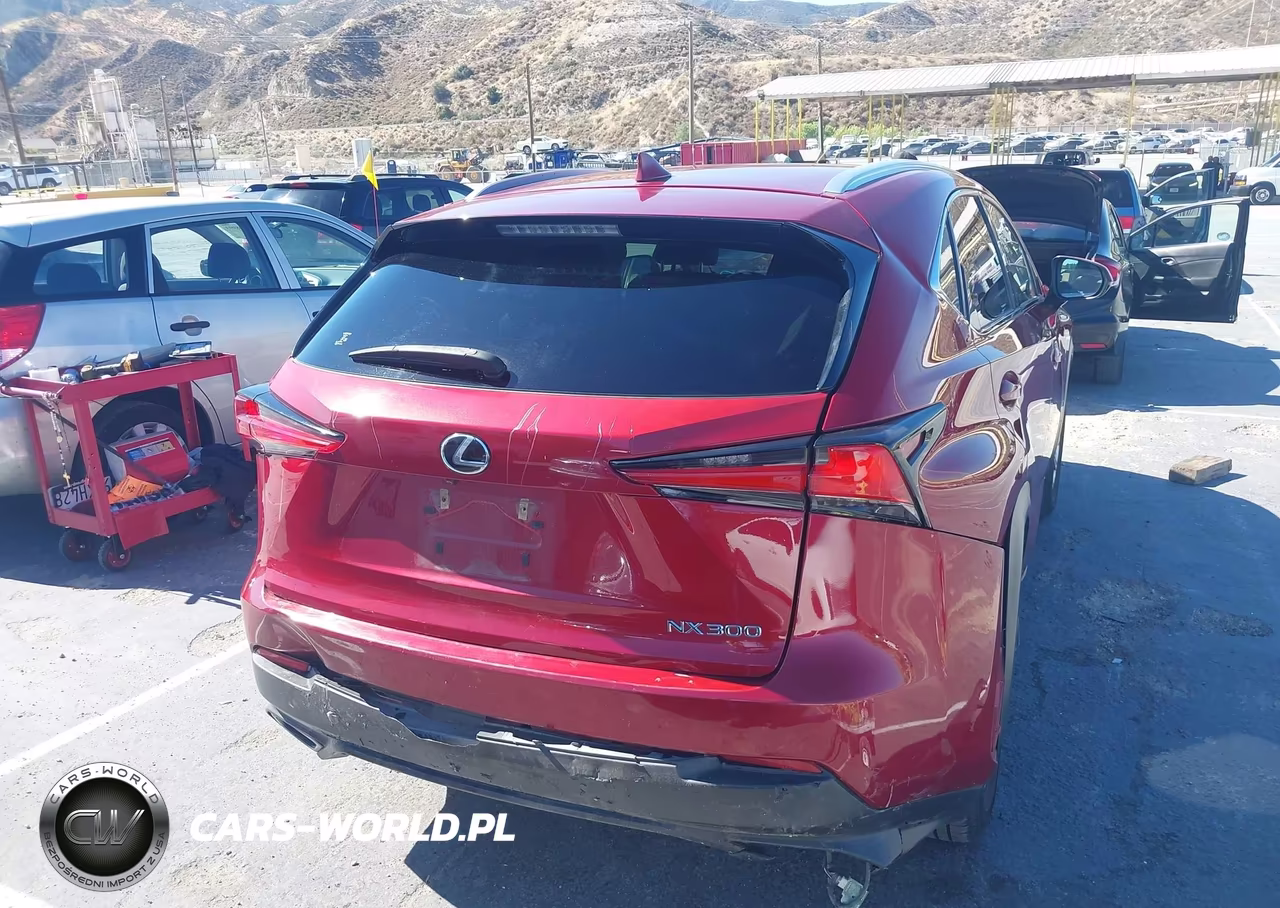 2019 Lexus Nx 300 VIN:JTJYARBZ6K2118137 - 4