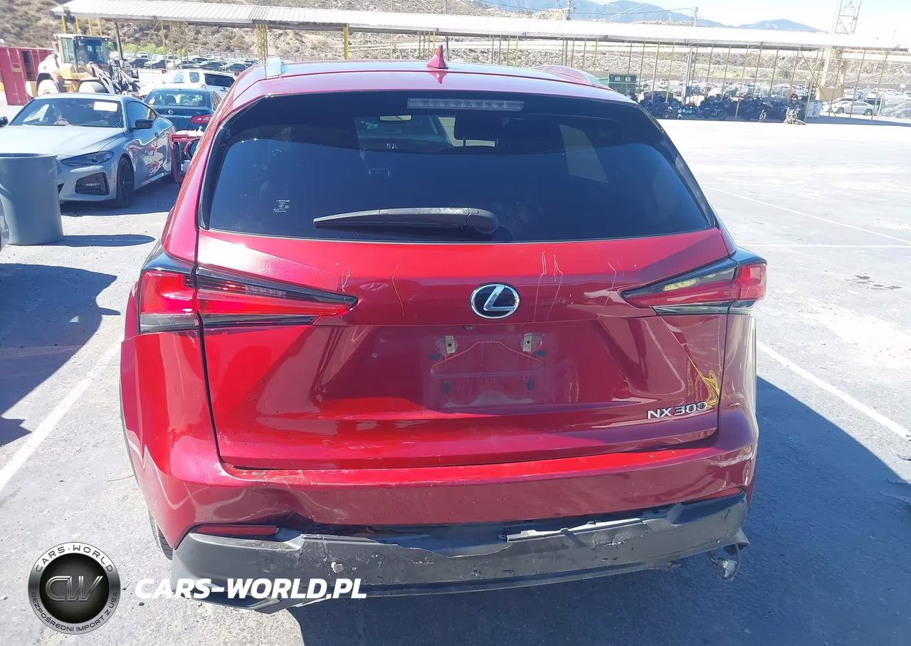 2019 Lexus Nx 300 VIN:JTJYARBZ6K2118137 - 6