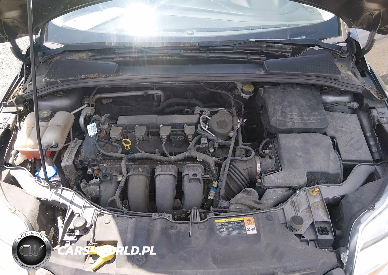 2014 Ford Focus Se VIN:1FADP3K21EL136887 - 10