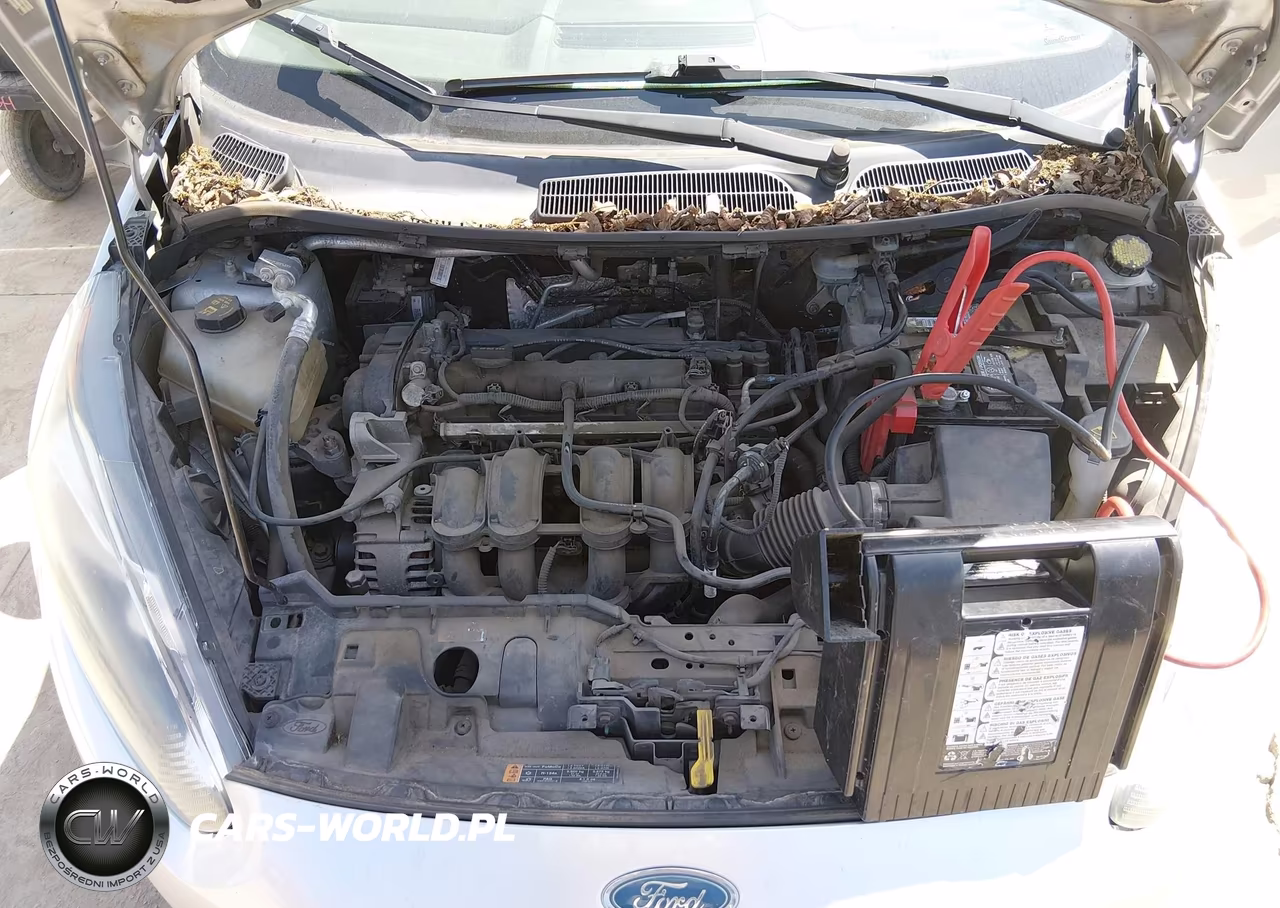 2014 Ford Fiesta Se VIN:3FADP4BJ4EM239782 - 10