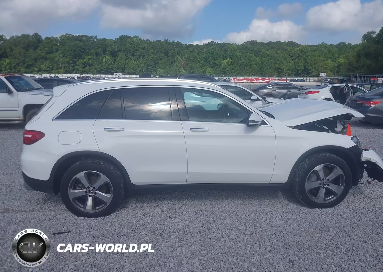 2019 Mercedes-Benz Glc 300 VIN:WDC0G4JB8KV169041 - 13