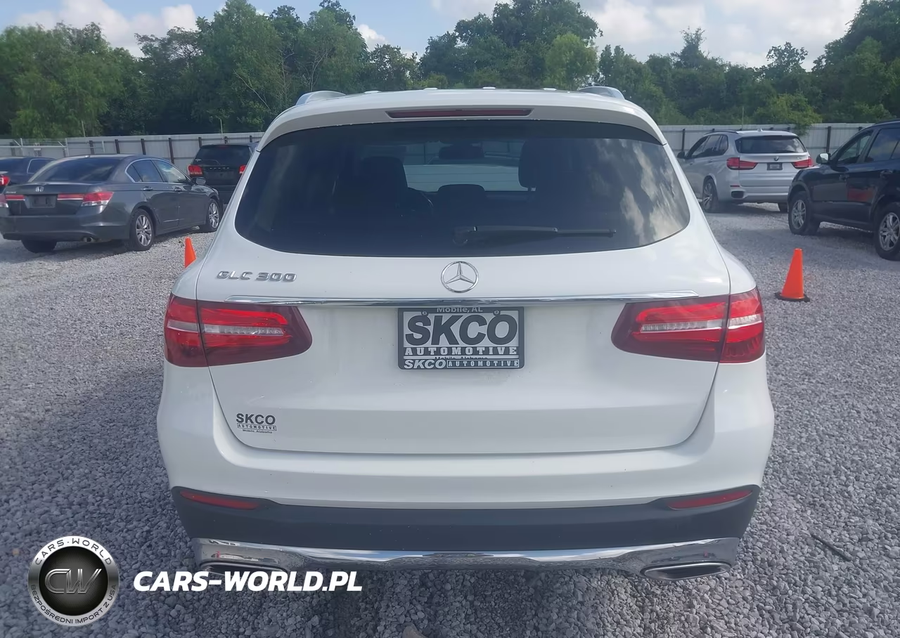 2019 Mercedes-Benz Glc 300 VIN:WDC0G4JB8KV169041 - 16
