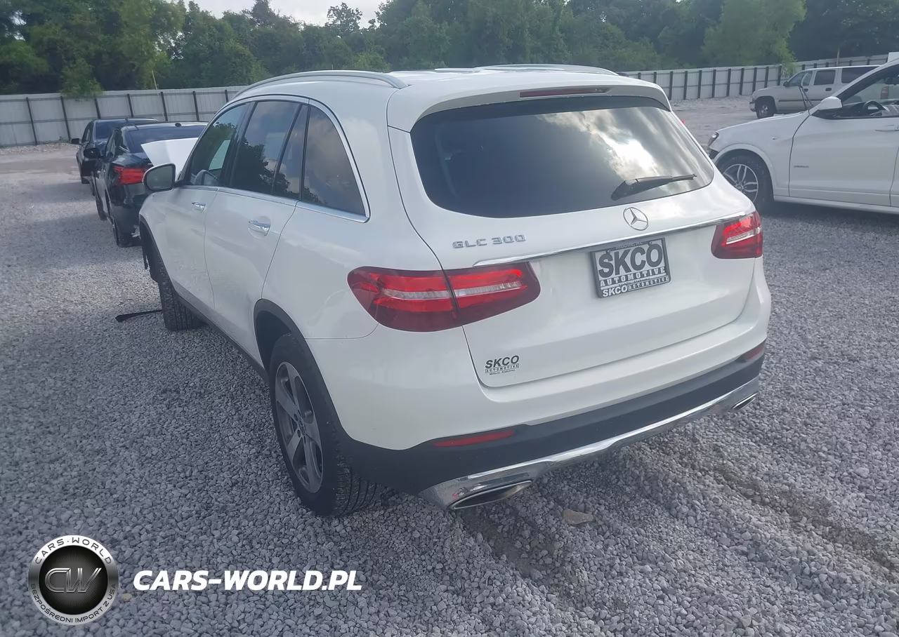 2019 Mercedes-Benz Glc 300 VIN:WDC0G4JB8KV169041 - 3