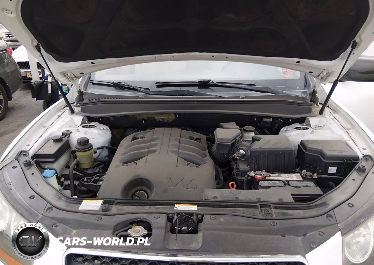 2009 Hyundai Santa Fe Limited VIN:5NMSH13EX9H271014 - 10