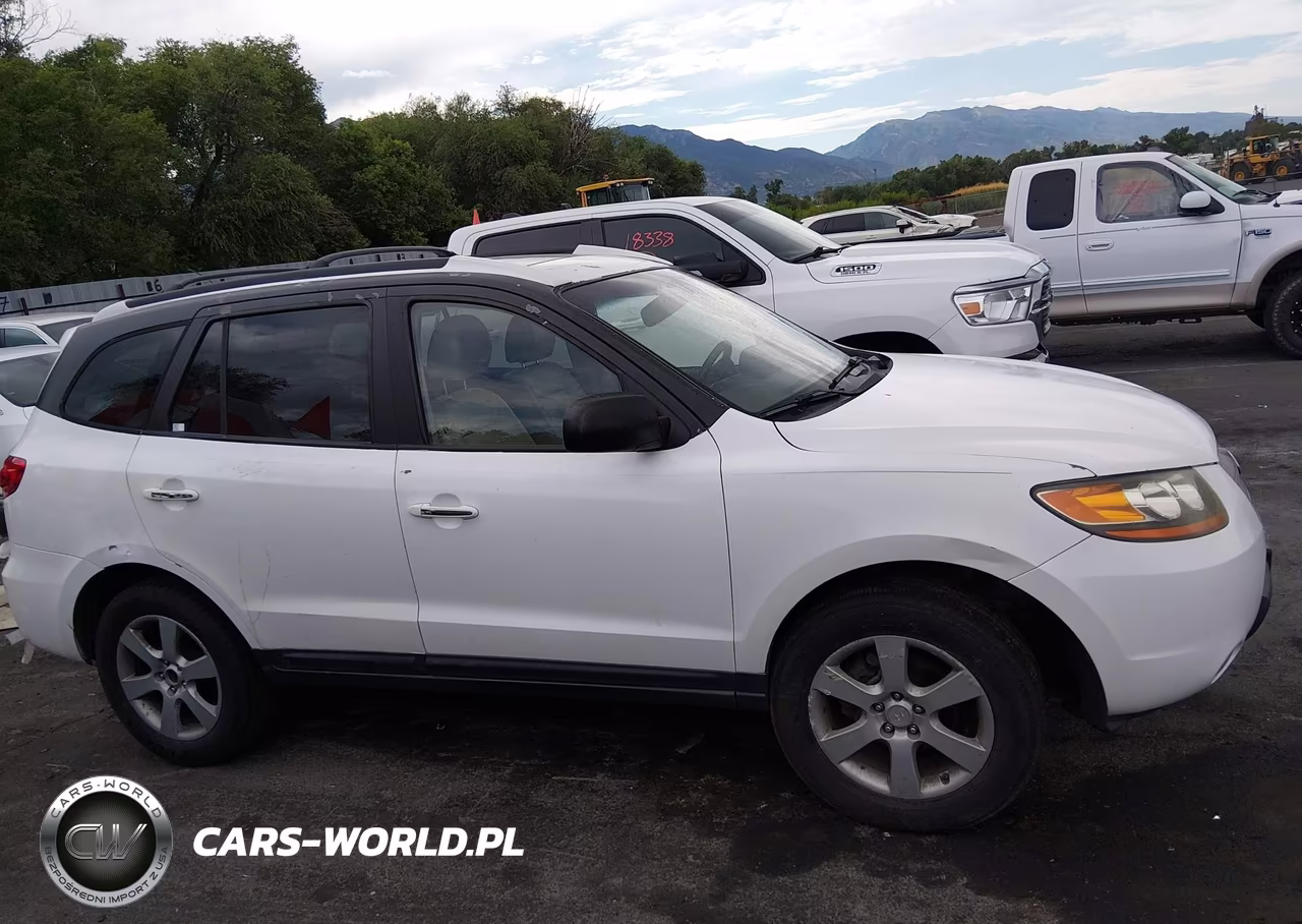 2009 Hyundai Santa Fe Limited VIN:5NMSH13EX9H271014 - 13