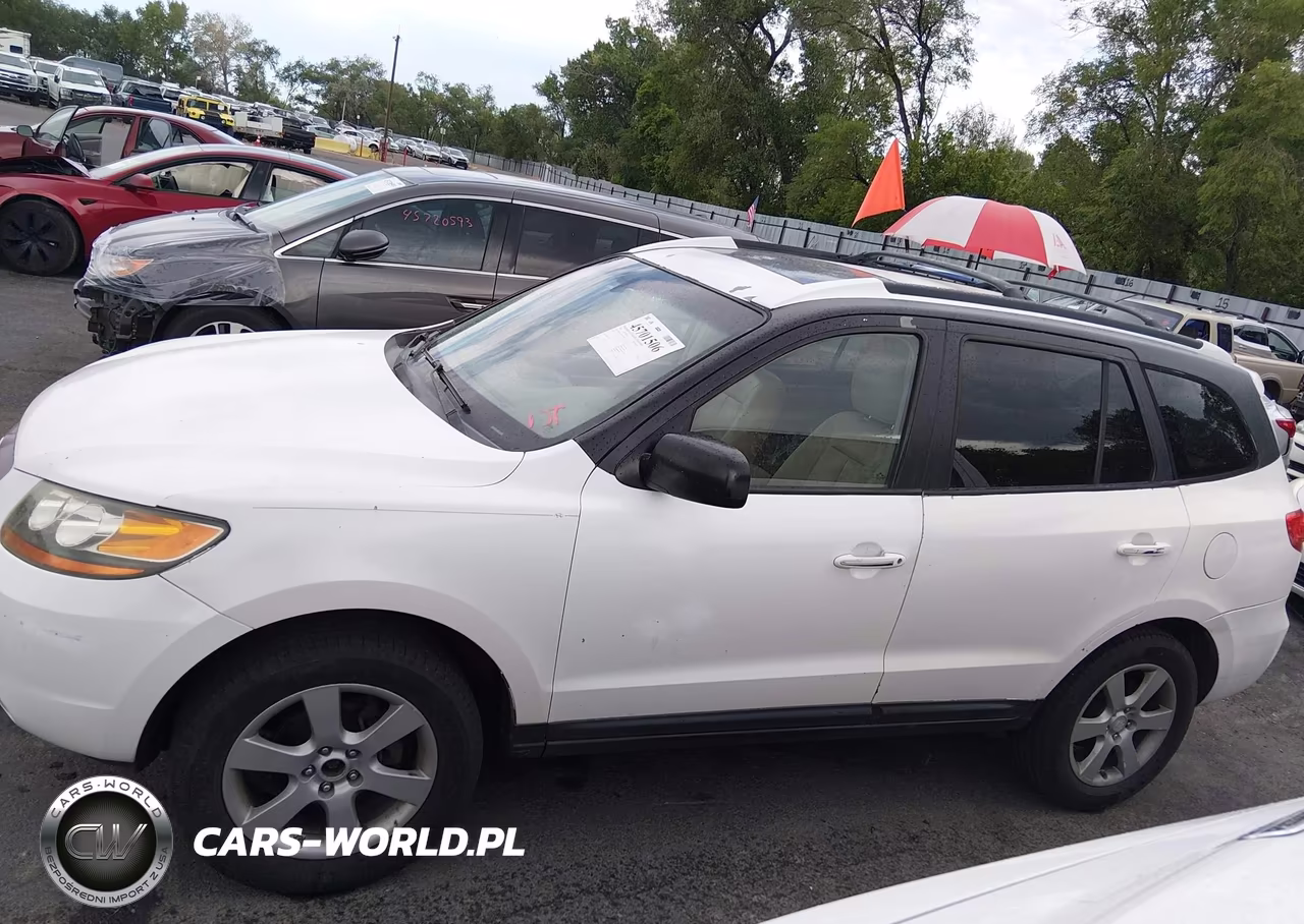 2009 Hyundai Santa Fe Limited VIN:5NMSH13EX9H271014 - 14
