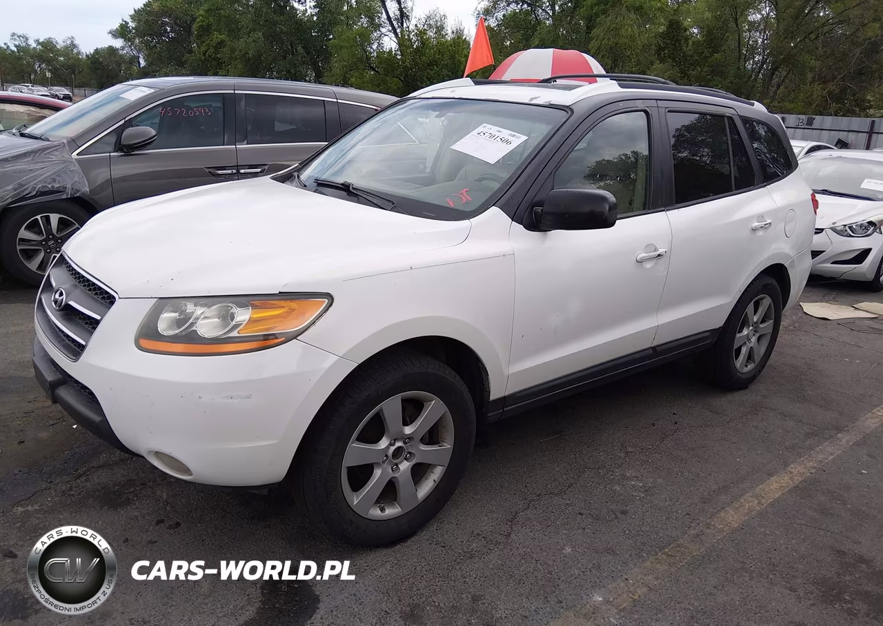 2009 Hyundai Santa Fe Limited VIN:5NMSH13EX9H271014 - 2