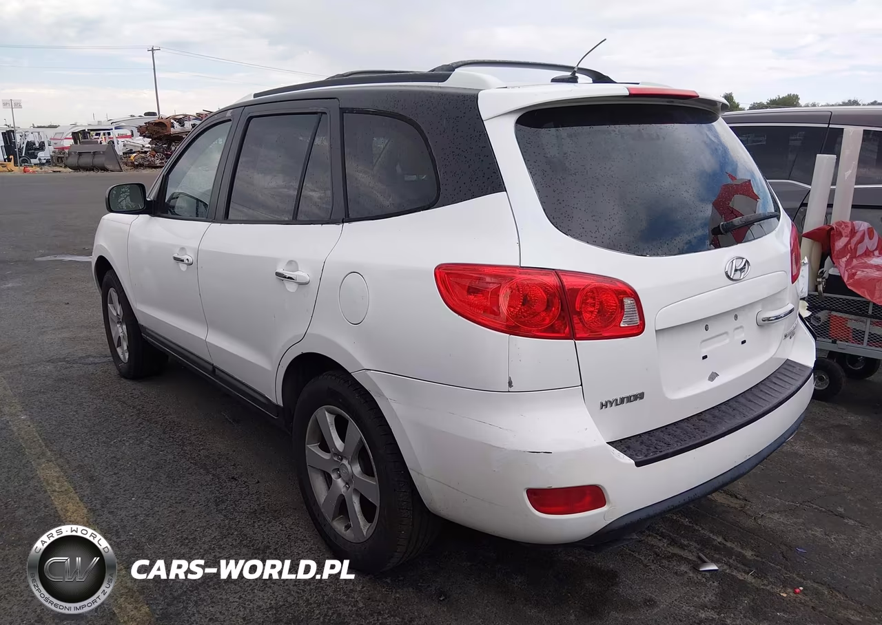 2009 Hyundai Santa Fe Limited VIN:5NMSH13EX9H271014 - 3