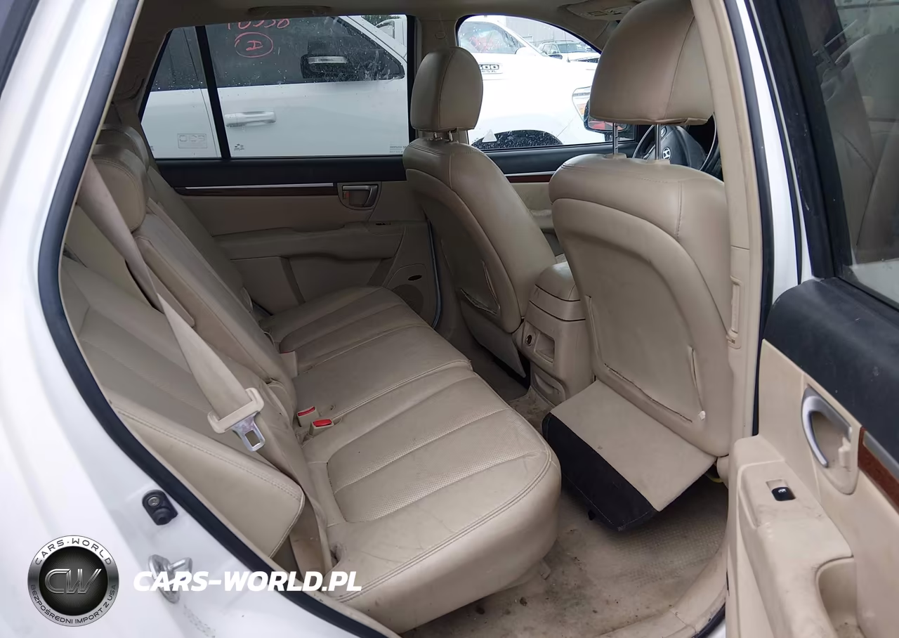 2009 Hyundai Santa Fe Limited VIN:5NMSH13EX9H271014 - 8