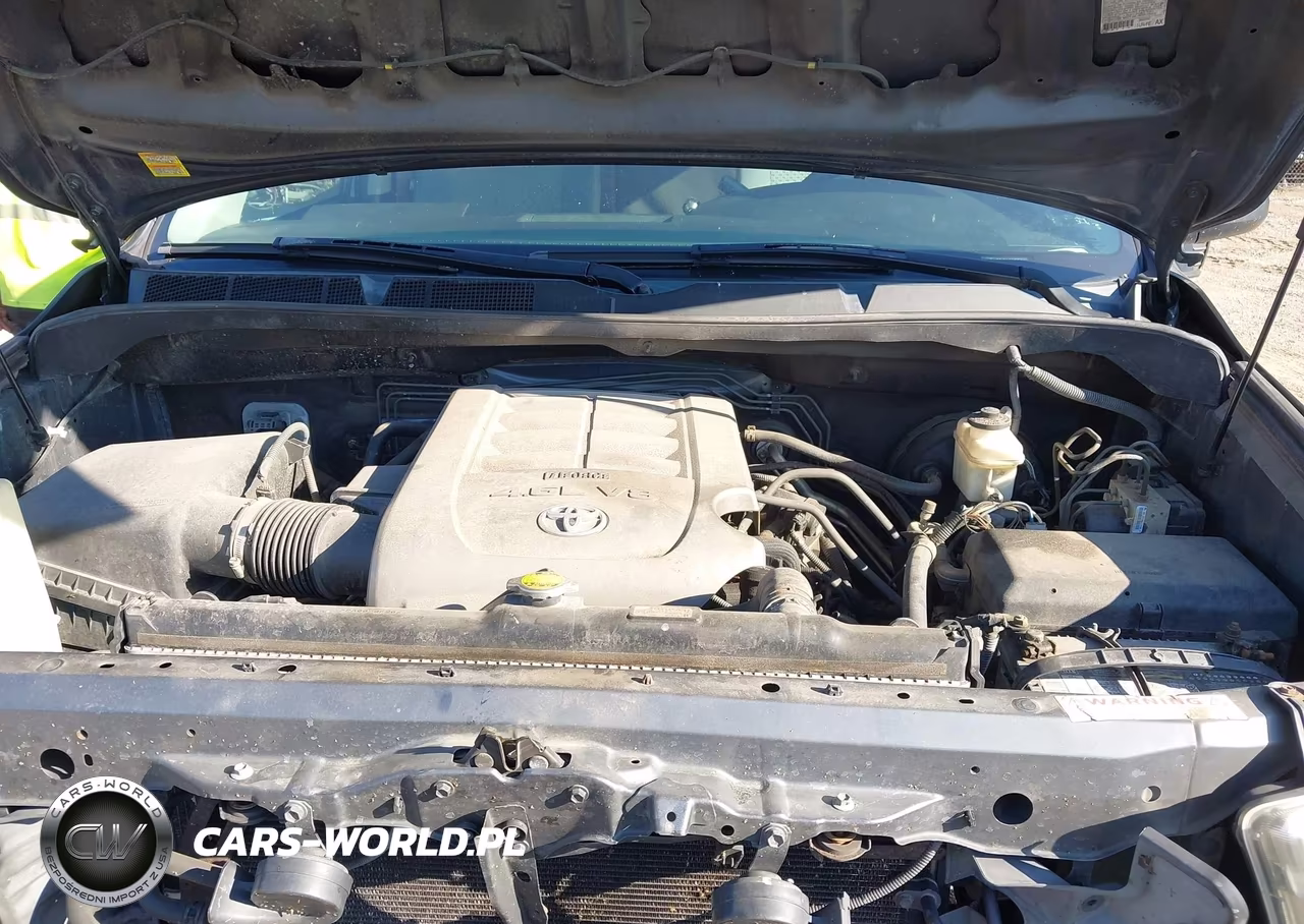 2010 Toyota Tundra Grade 4.6L V8 VIN:5TFUM5F16AX005926 - 10
