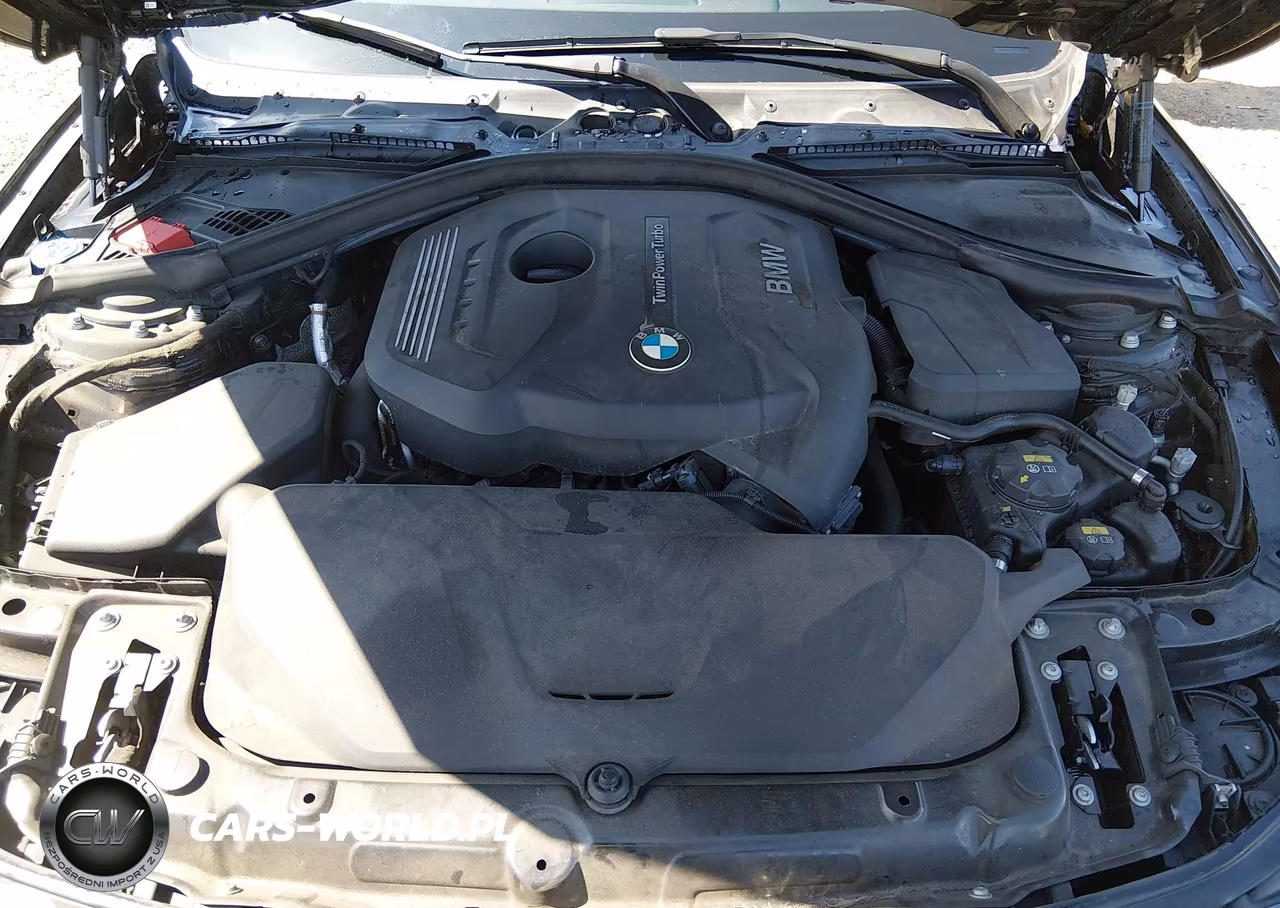 2017 BMW 430I Gran Coupe VIN:WBA4F7C51HG438431 - 10