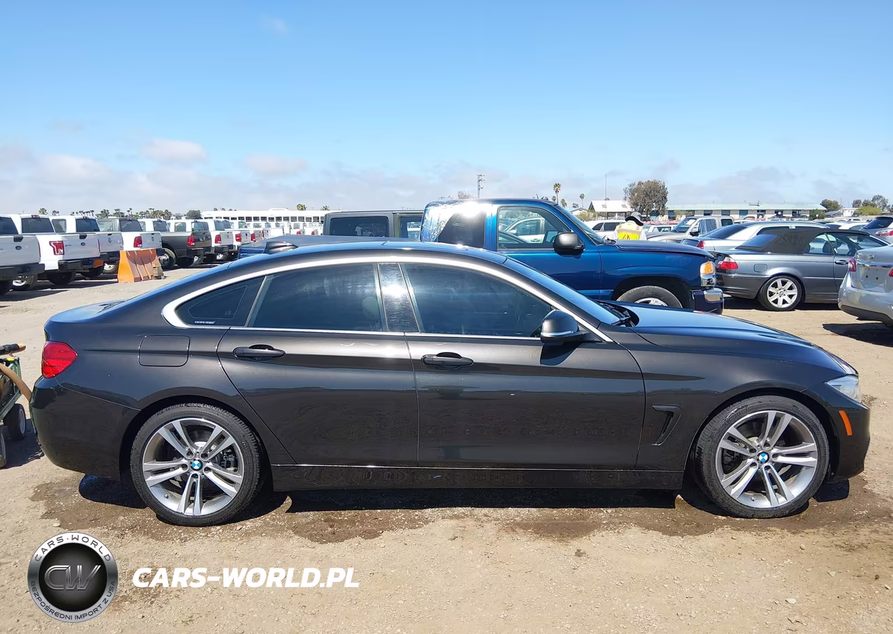 2017 BMW 430I Gran Coupe VIN:WBA4F7C51HG438431 - 13