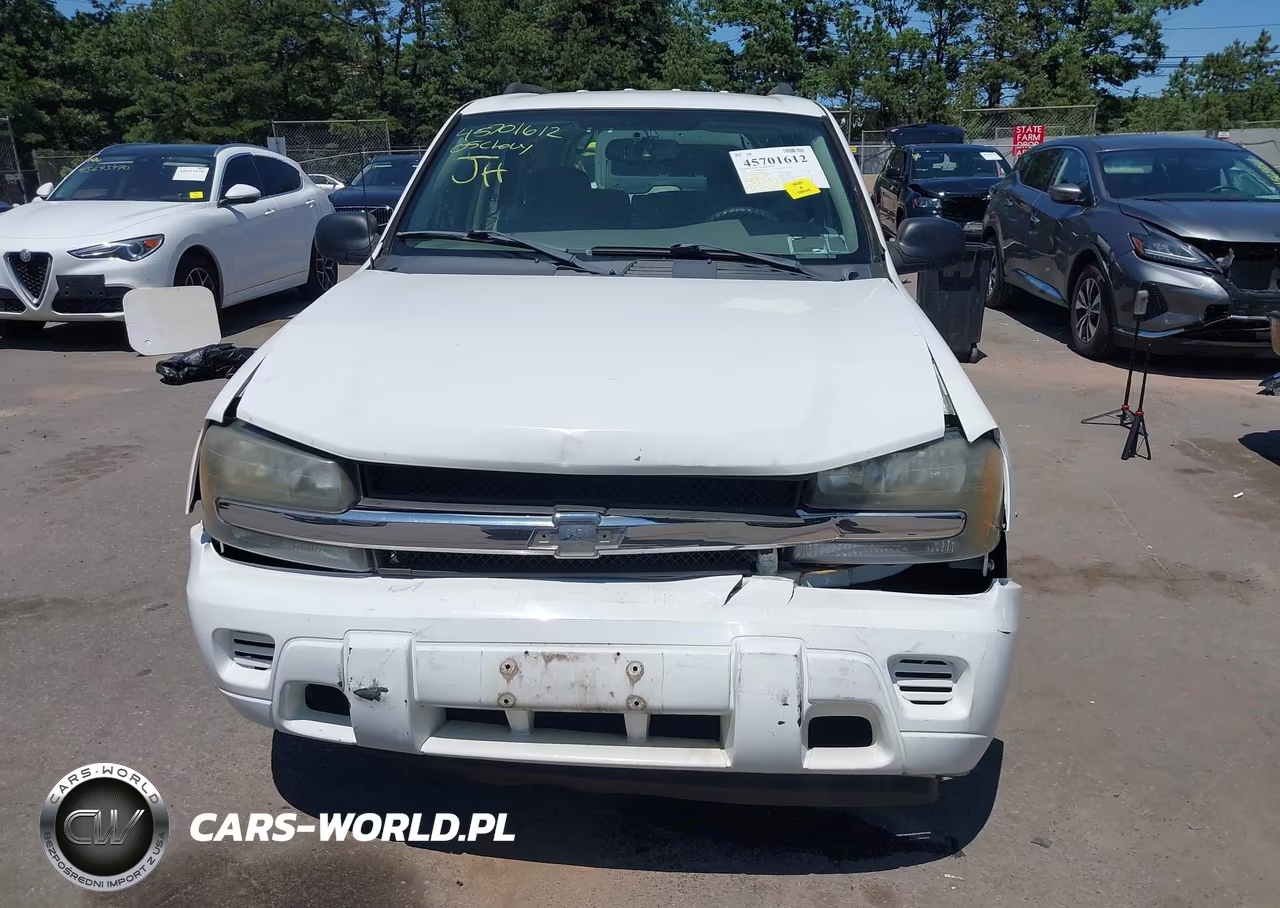 2005 Chevrolet Trailblazer Ls VIN:1GNDT13S452250081 - 12
