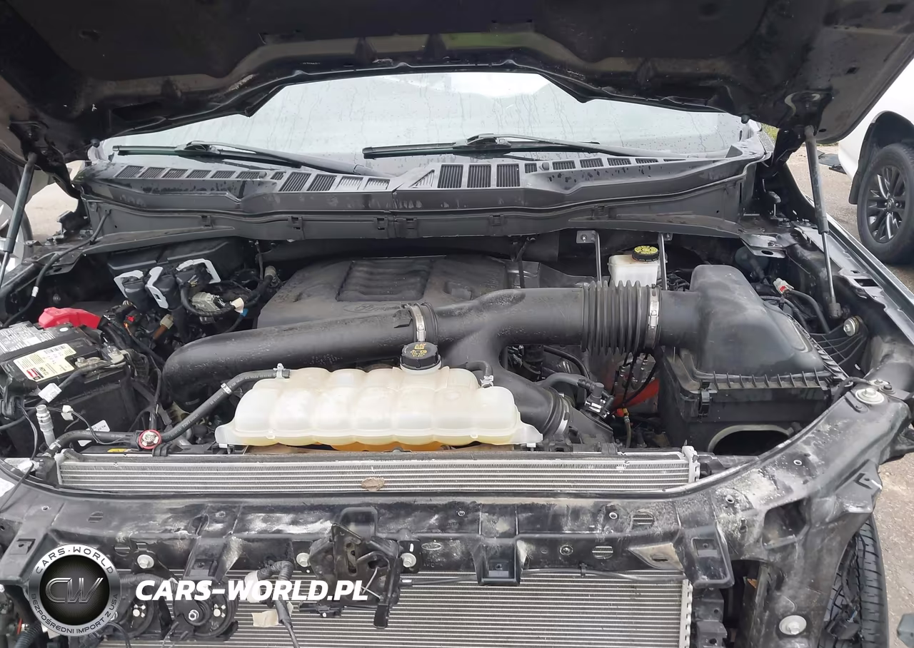 2023 Ford F-150 Xlt VIN:1FTFW1E88PKE12677 - 10