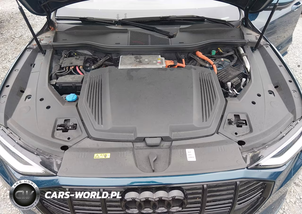 2022 Audi E-Tron Premium Plus Quattro VIN:WA1LAAGEXNB008615 - 10