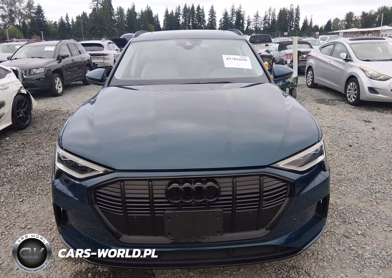 2022 Audi E-Tron Premium Plus Quattro VIN:WA1LAAGEXNB008615 - 12