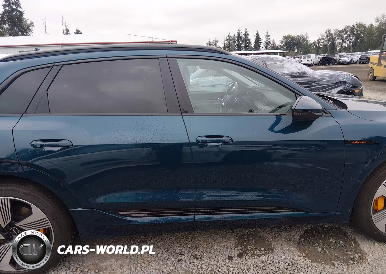2022 Audi E-Tron Premium Plus Quattro VIN:WA1LAAGEXNB008615 - 13