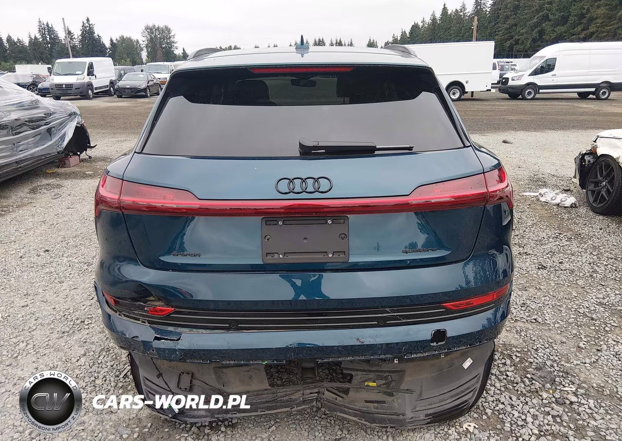 2022 Audi E-Tron Premium Plus Quattro VIN:WA1LAAGEXNB008615 - 16