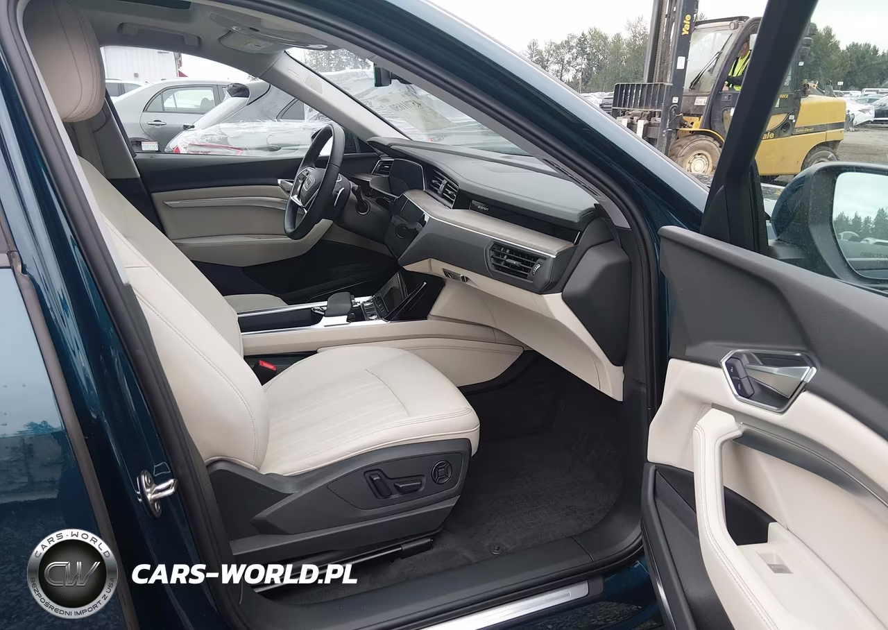 2022 Audi E-Tron Premium Plus Quattro VIN:WA1LAAGEXNB008615 - 19