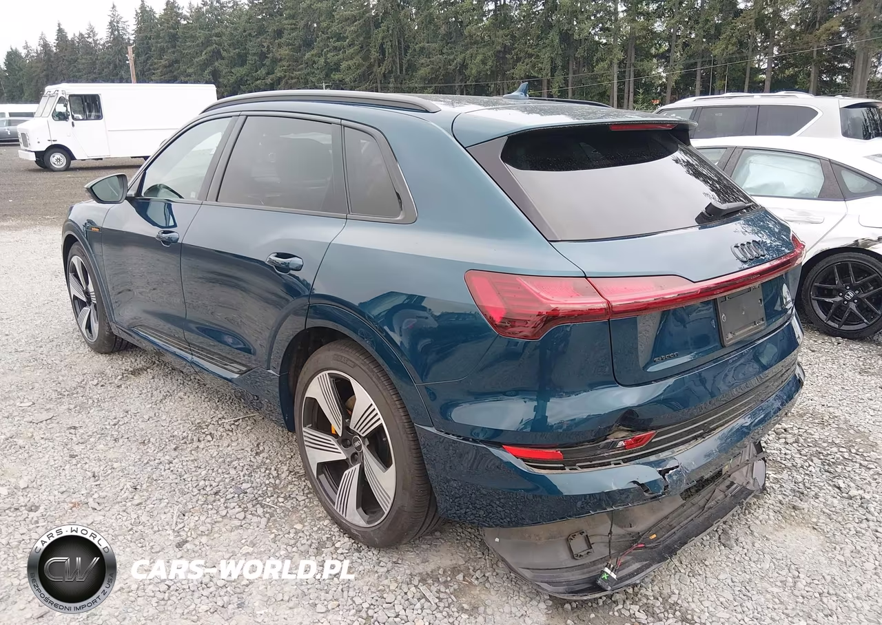 2022 Audi E-Tron Premium Plus Quattro VIN:WA1LAAGEXNB008615 - 3
