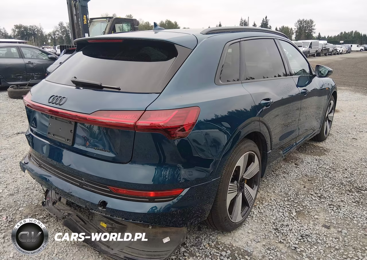 2022 Audi E-Tron Premium Plus Quattro VIN:WA1LAAGEXNB008615 - 4