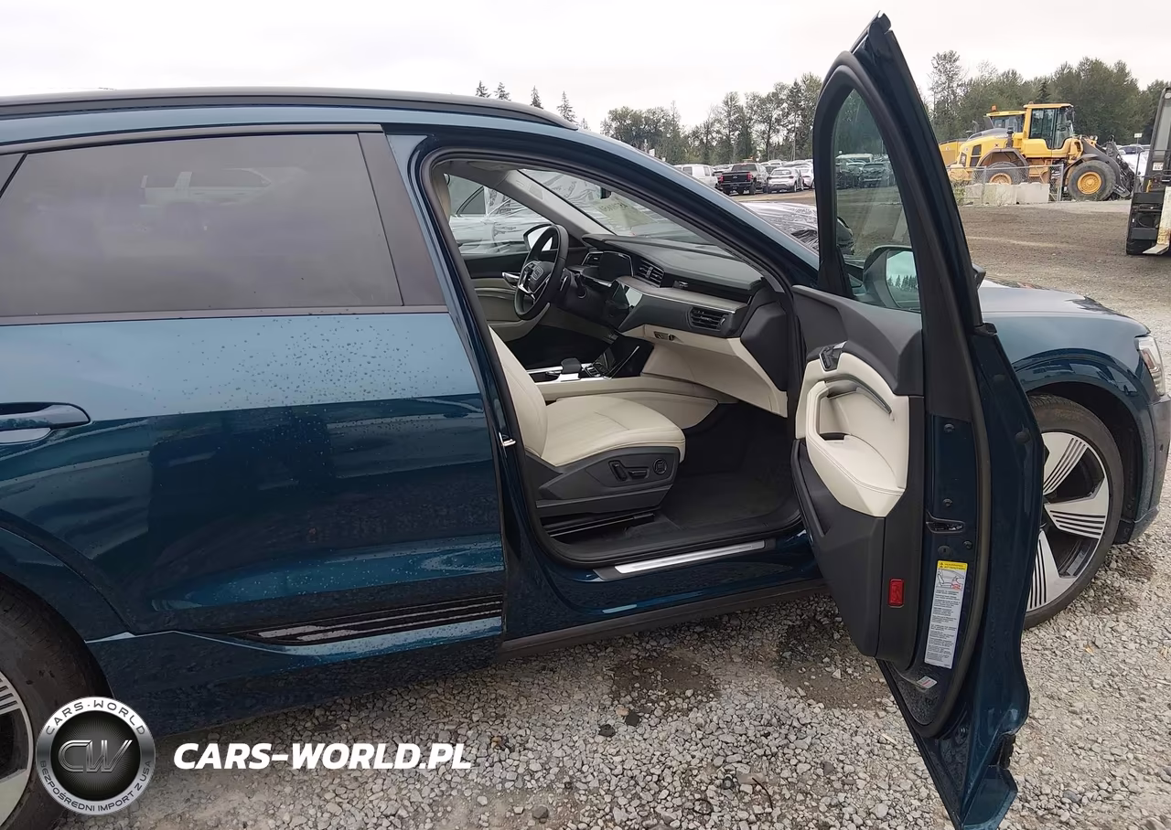 2022 Audi E-Tron Premium Plus Quattro VIN:WA1LAAGEXNB008615 - 5