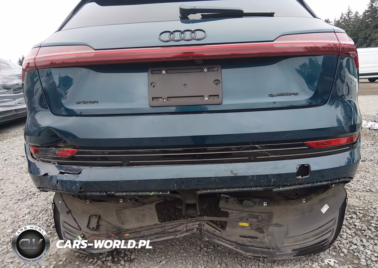 2022 Audi E-Tron Premium Plus Quattro VIN:WA1LAAGEXNB008615 - 6