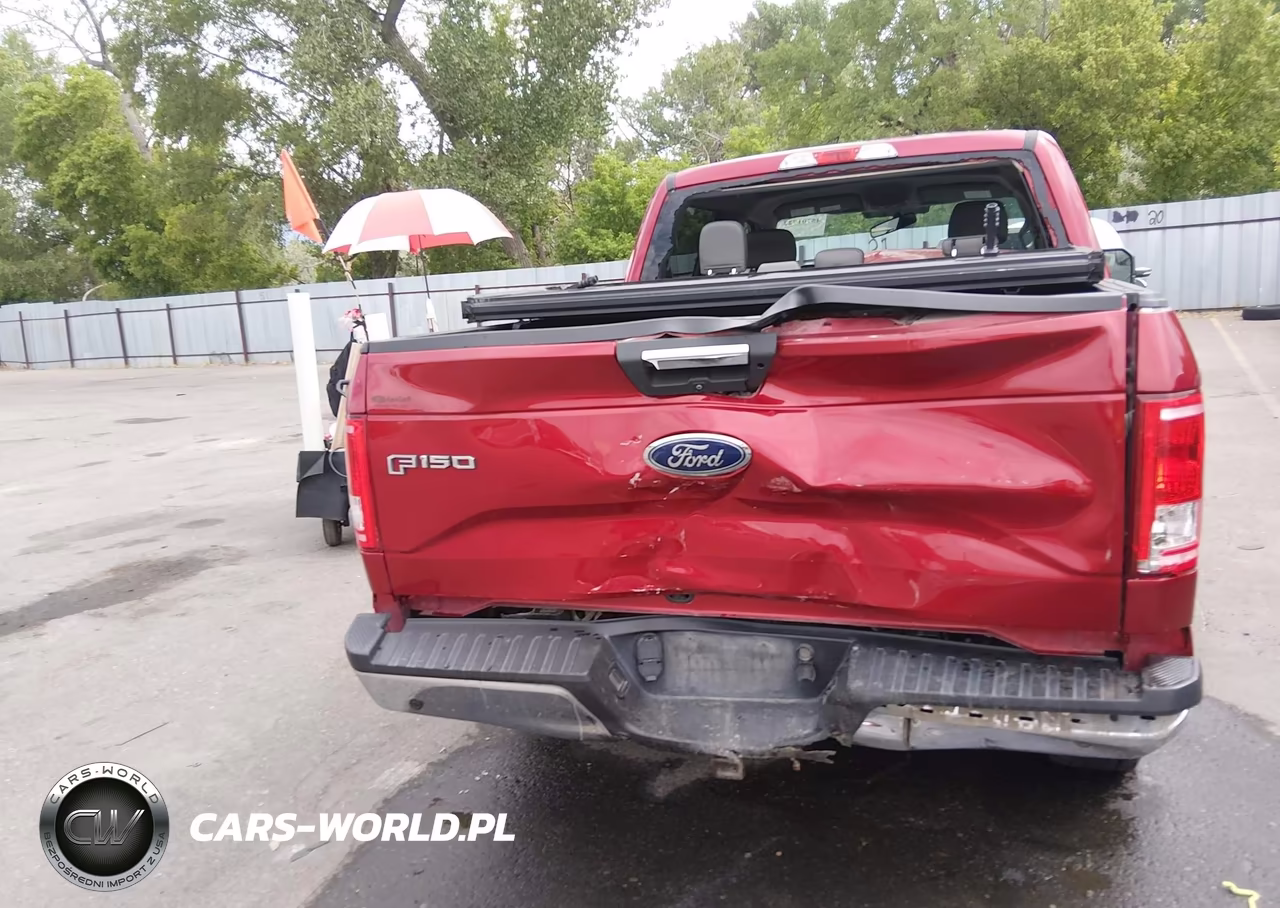 2016 Ford F-150 Xlt VIN:1FTEW1EG2GKE45242 - 17