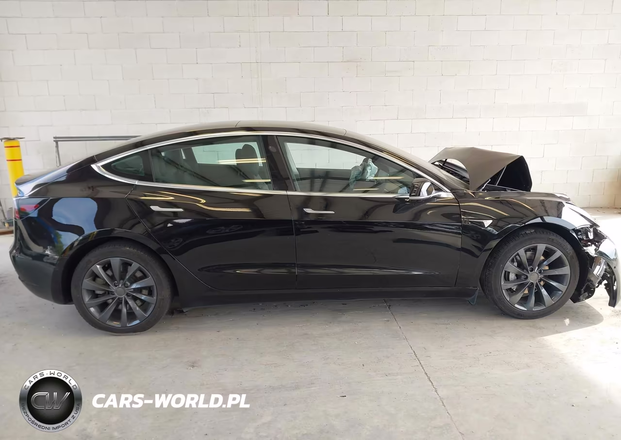 2020 Tesla Model 3 Standard Range Plus Rear-Wheel Drive-Standard Range Rear-Wheel Drive VIN:5YJ3E1EA4LF625206 - 12