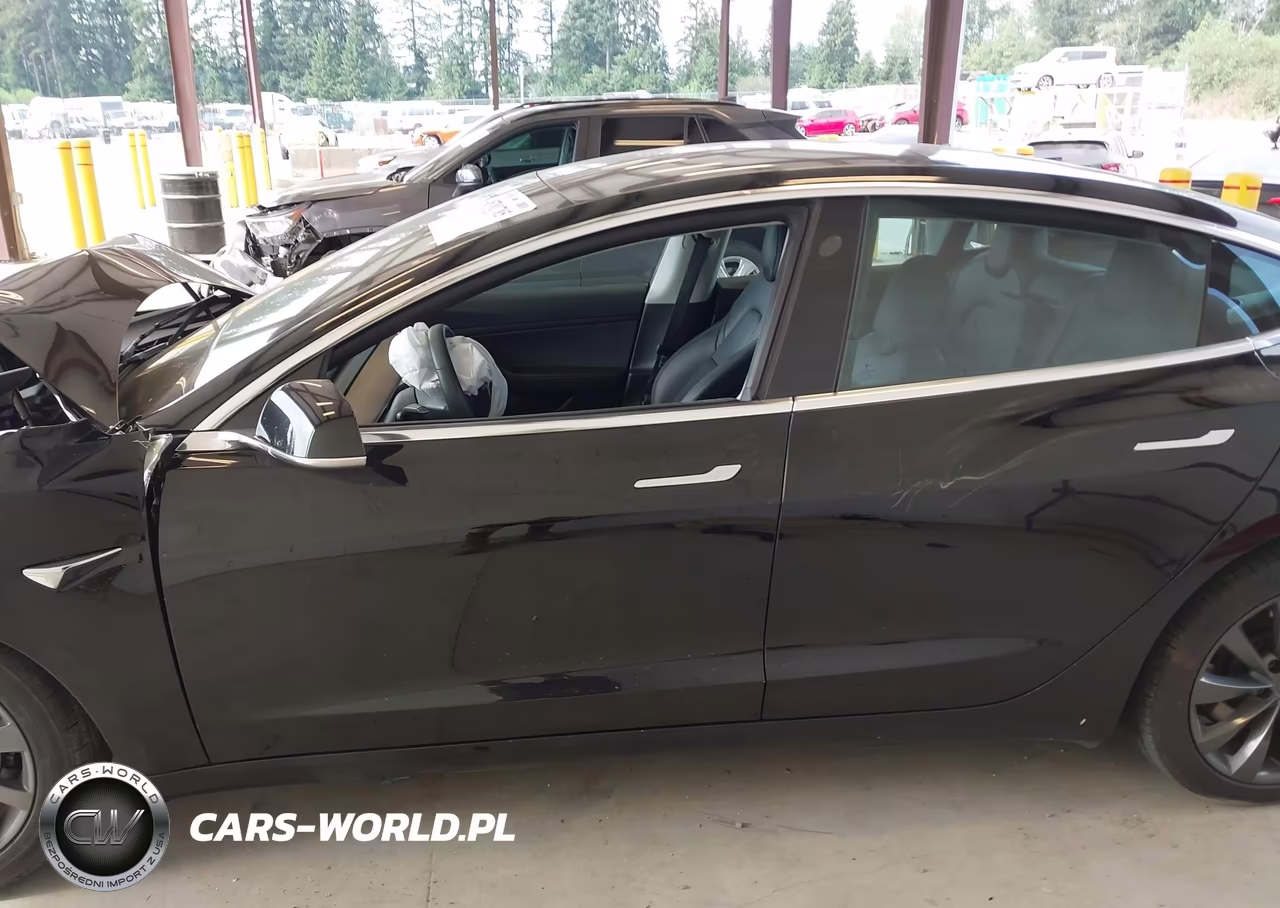 2020 Tesla Model 3 Standard Range Plus Rear-Wheel Drive-Standard Range Rear-Wheel Drive VIN:5YJ3E1EA4LF625206 - 13