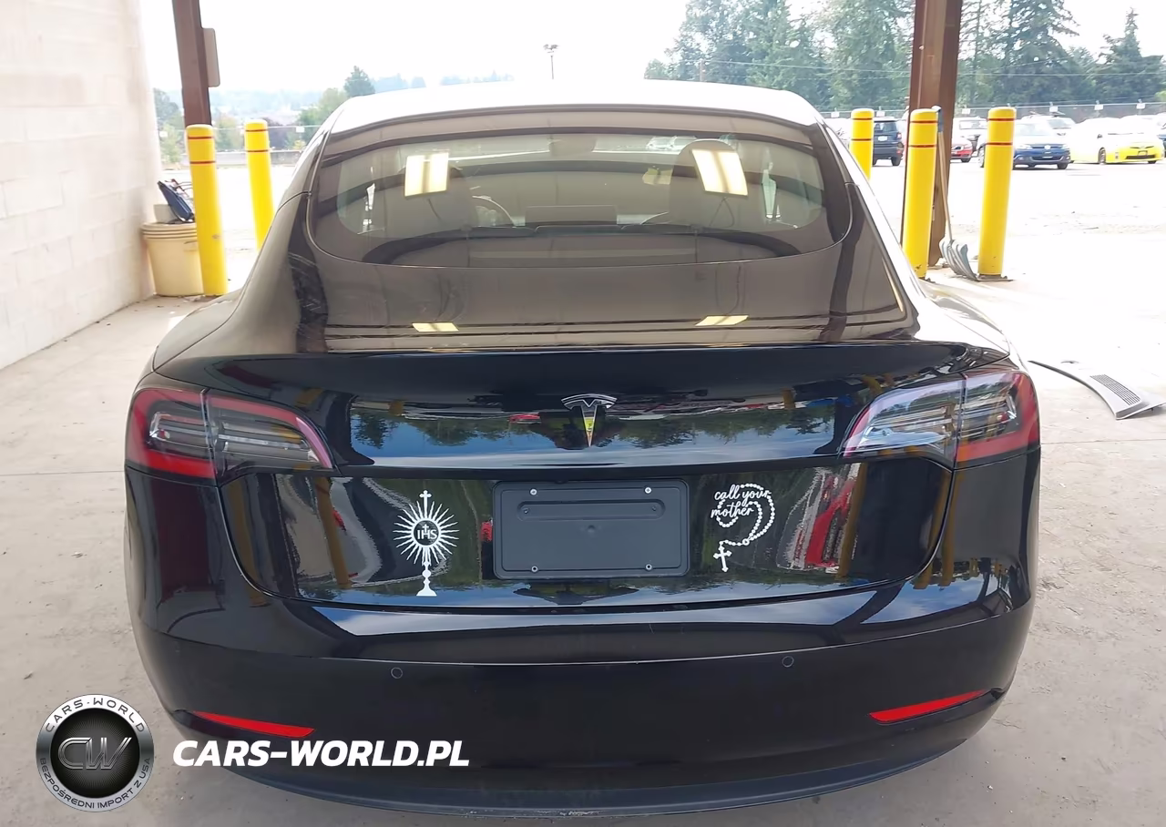 2020 Tesla Model 3 Standard Range Plus Rear-Wheel Drive-Standard Range Rear-Wheel Drive VIN:5YJ3E1EA4LF625206 - 15