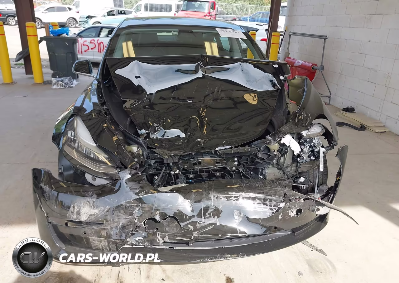 2020 Tesla Model 3 Standard Range Plus Rear-Wheel Drive-Standard Range Rear-Wheel Drive VIN:5YJ3E1EA4LF625206 - 6
