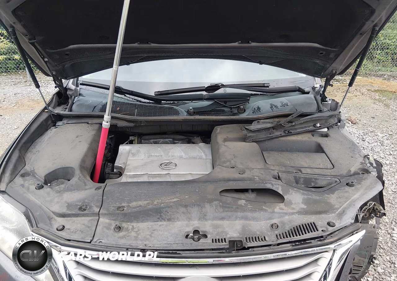 2013 Lexus Rx 350 VIN:2T2BK1BAXDC155158 - 10