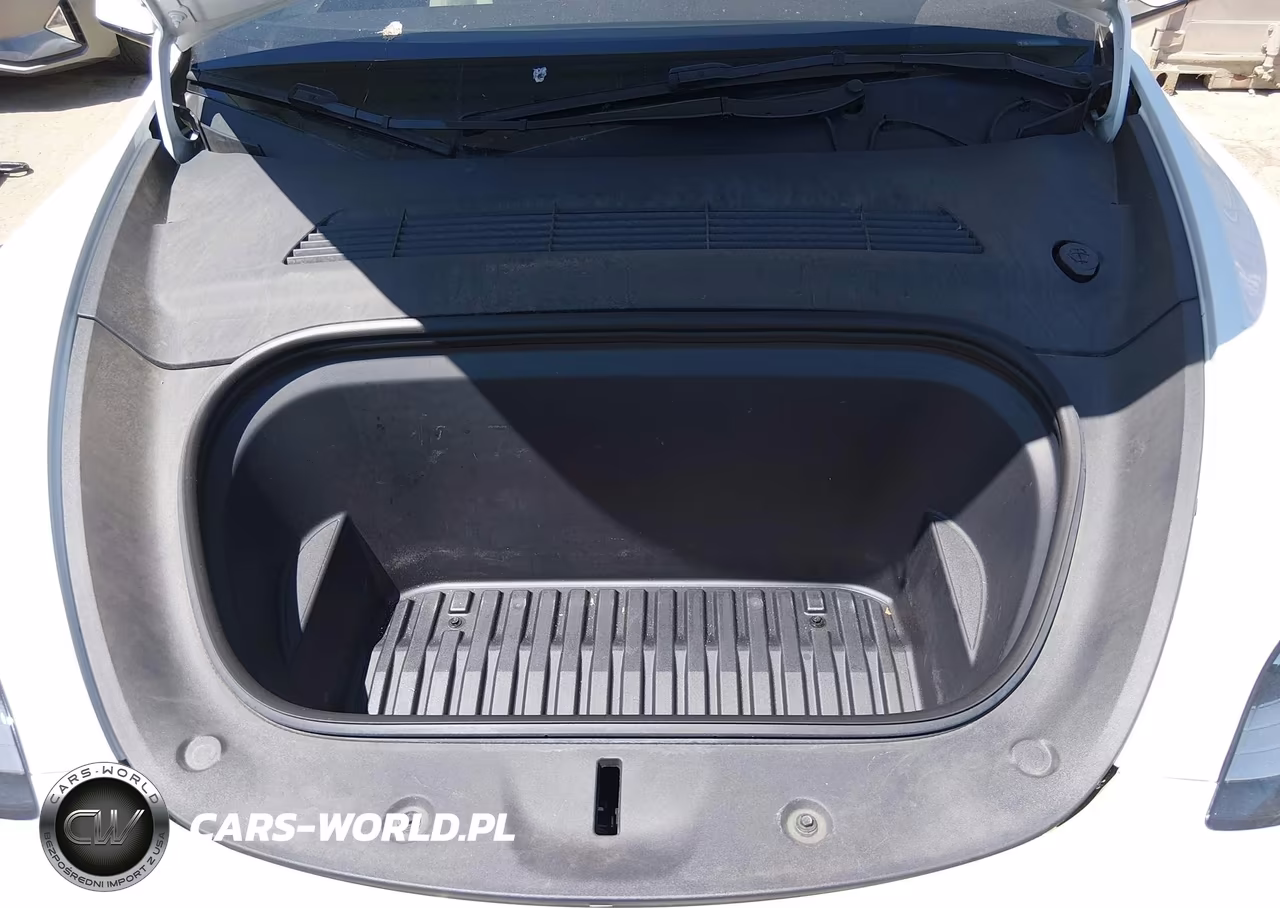 2023 Tesla Model Y Awd-Long Range Dual Motor All-Wheel Drive VIN:7SAYGDEE1PA094752 - 10