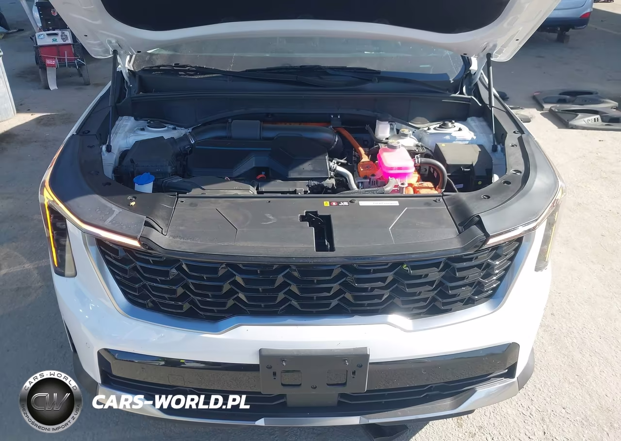 2025 Kia Sorento Hybrid Ex VIN:KNDRHDJG1S5383102 - 10