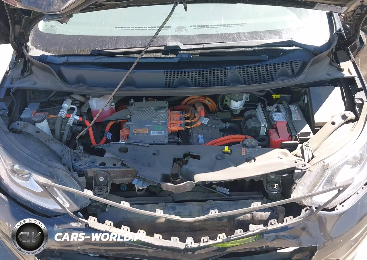 2017 Chevrolet Bolt Ev Lt VIN:1G1FW6S01H4164492 - 10