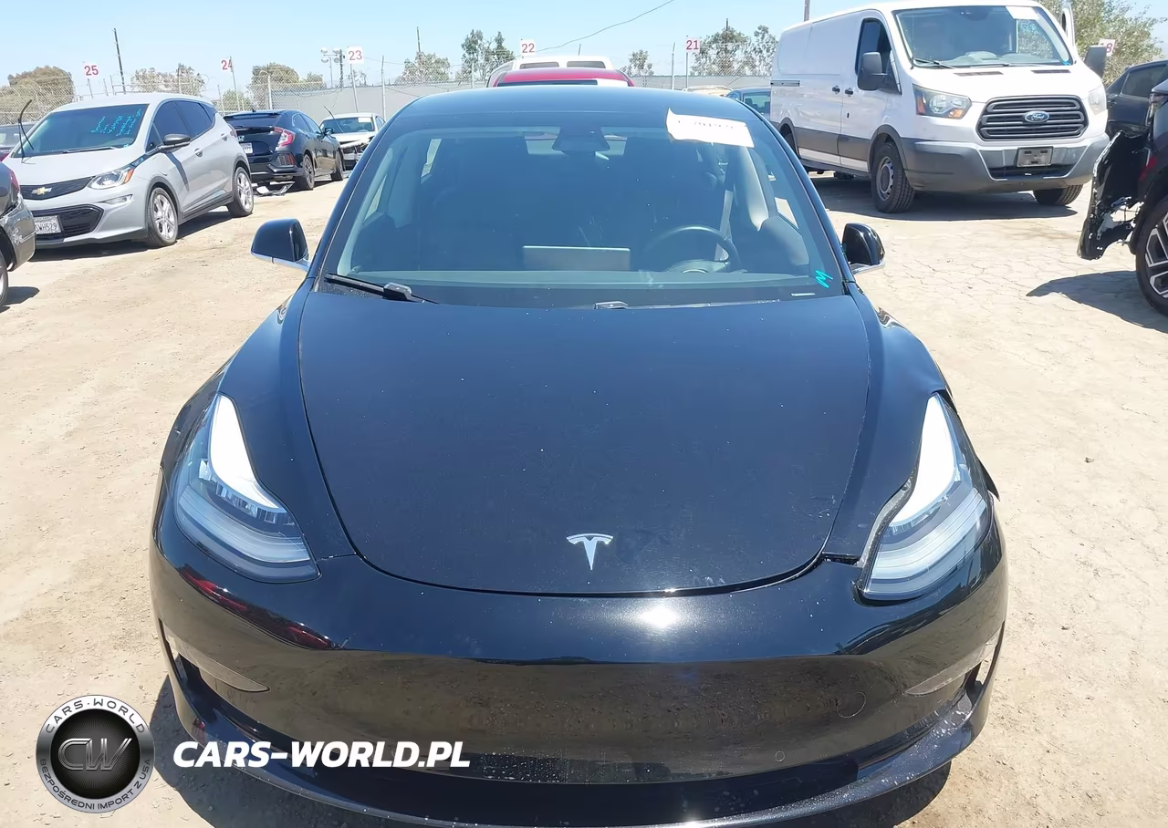 2019 Tesla Model 3 Long Range-Mid Range-Standard Range-Standard Range Plus VIN:5YJ3E1EA5KF401747 - 12