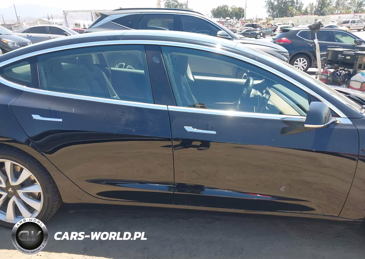 2019 Tesla Model 3 Long Range-Mid Range-Standard Range-Standard Range Plus VIN:5YJ3E1EA5KF401747 - 13